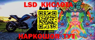 винт Будённовск