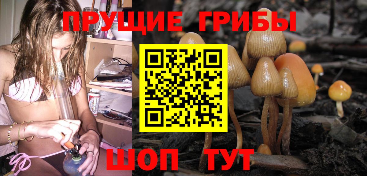 Галлюциногенные грибы Psilocybine cubensis Нижний Тагил